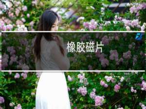 橡胶磁片