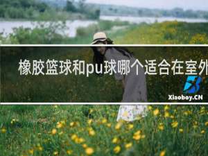 橡胶篮球和pu球哪个适合在室外打