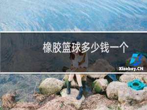 橡胶篮球多少钱一个