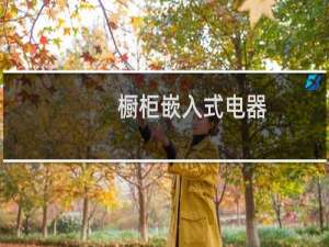 橱柜嵌入式电器