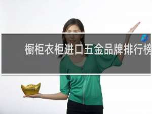 橱柜衣柜进口五金品牌排行榜