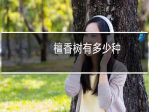 檀香树有多少种