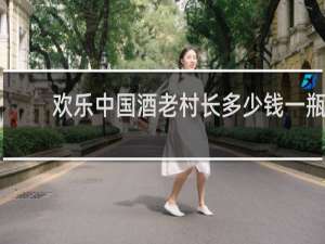欢乐中国酒老村长多少钱一瓶