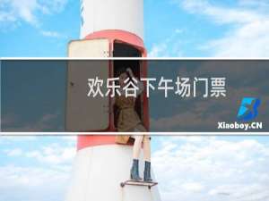 欢乐谷下午场门票