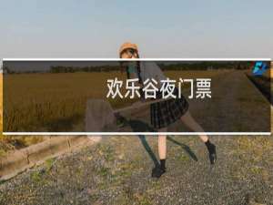 欢乐谷夜门票