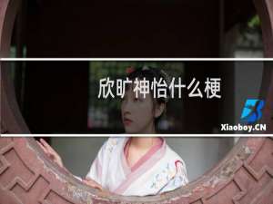 欣旷神怡什么梗