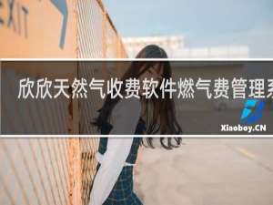 【欣欣天然气收费软件燃气费管理系统】免费欣欣天然气收费软件燃气费管理系统软件下载