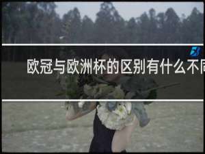欧冠与欧洲杯的区别有什么不同