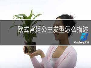 欧式宫廷公主发型怎么描述