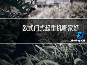 欧式门式起重机哪家好