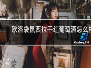 欧洛袋鼠西拉干红葡萄酒怎么样