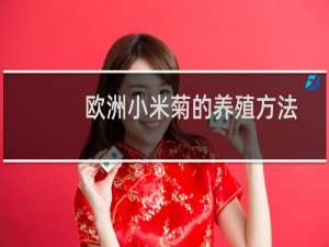 欧洲小米菊的养殖方法