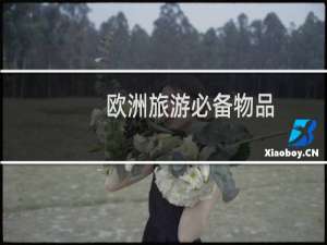 欧洲旅游必备物品
