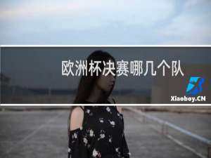 欧洲杯决赛哪几个队