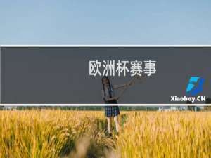 欧洲杯赛事