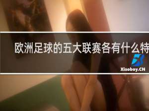 欧洲足球的五大联赛各有什么特点