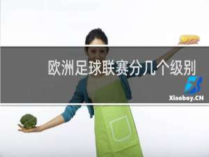 欧洲足球联赛分几个级别