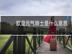 欧皇元气骑士是什么意思