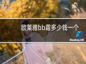 欧莱雅bb霜多少钱一个