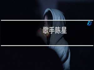 歌手陈星