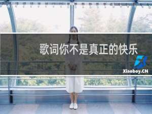 歌词你不是真正的快乐