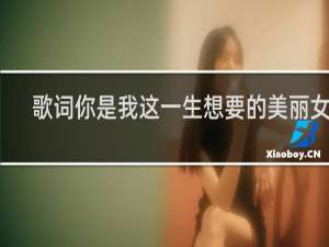 歌词你是我这一生想要的美丽女人