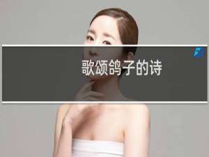 歌颂鸽子的诗