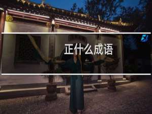 正什么成语