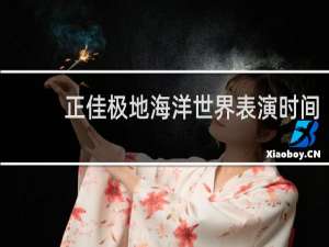 正佳极地海洋世界表演时间