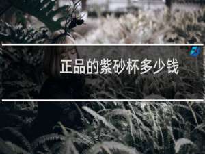 正品的紫砂杯多少钱