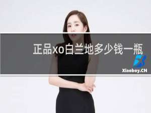 正品xo白兰地多少钱一瓶