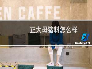 正大母猪料怎么样