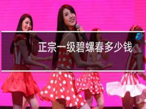 正宗一级碧螺春多少钱