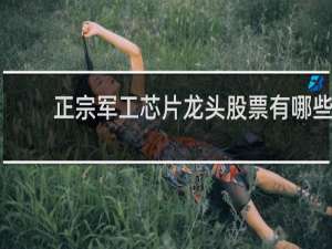 正宗军工芯片龙头股票有哪些