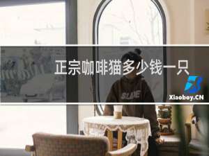正宗咖啡猫多少钱一只