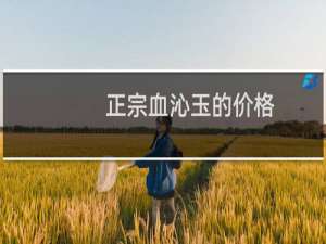 正宗血沁玉的价格