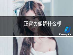 正宫の傲娇什么梗