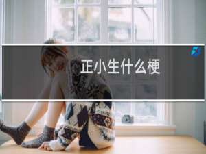 正小生什么梗