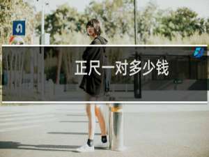 正尺一对多少钱