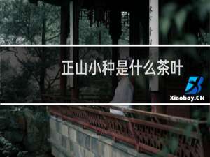 正山小种是什么茶叶