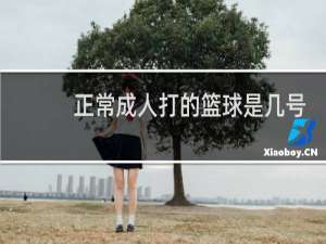 正常成人打的篮球是几号