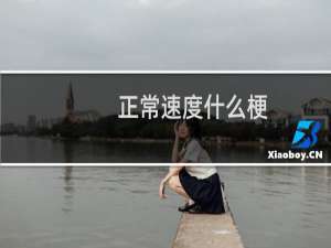 正常速度什么梗