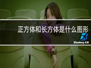 正方体和长方体是什么图形