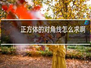 正方体的对角线怎么求啊