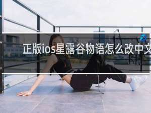 正版ios星露谷物语怎么改中文