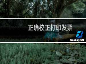 正确校正打印发票