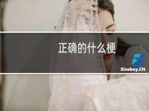 正确的什么梗