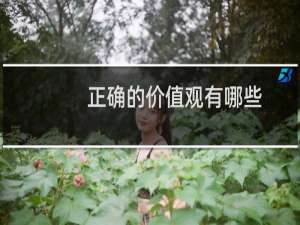 正确的价值观有哪些（正确的价值观介绍）