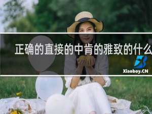 正确的直接的中肯的雅致的什么梗