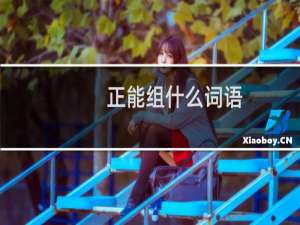 正能组什么词语